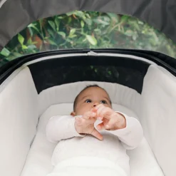 Bassinet V3