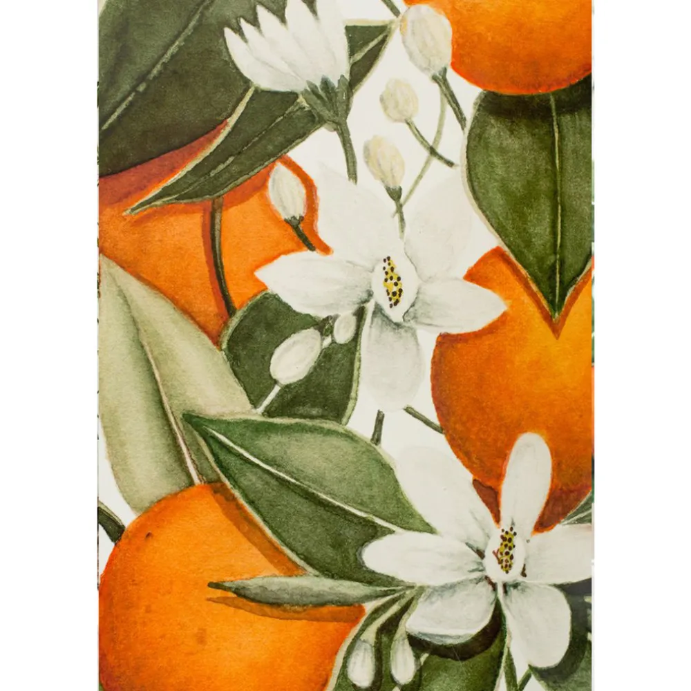 Blooming Citrus Wallpaper